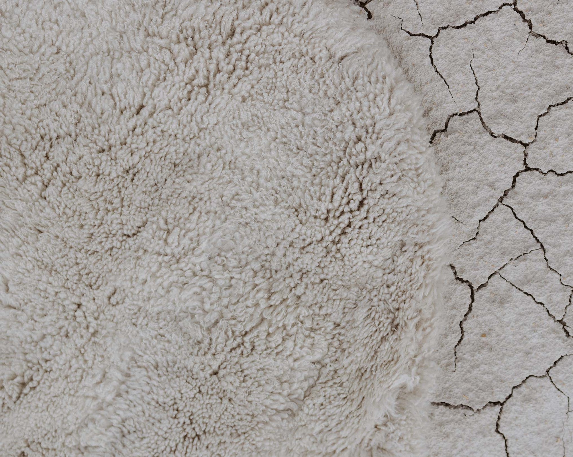 The Circle Floor Rug