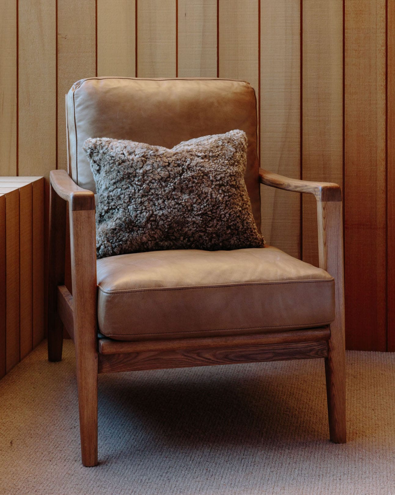 The Lumbar Cushion Cover