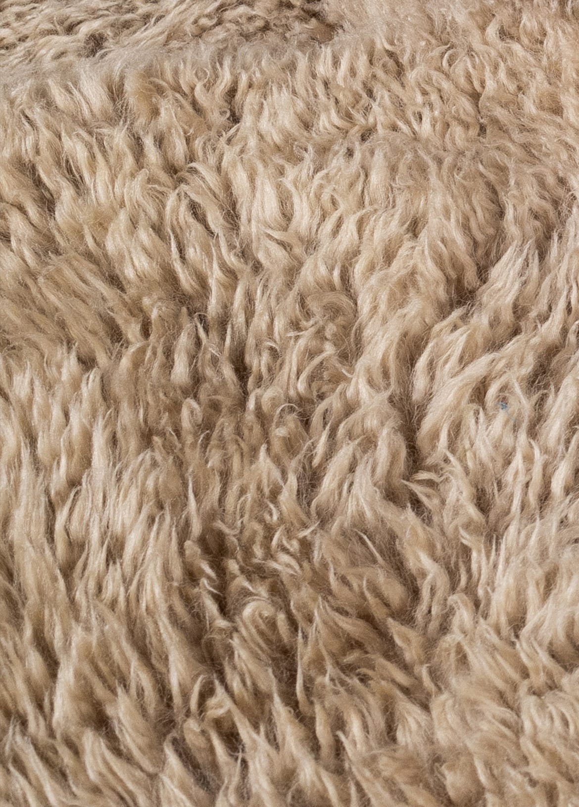 Shaggy Wool Mt Gold Sample