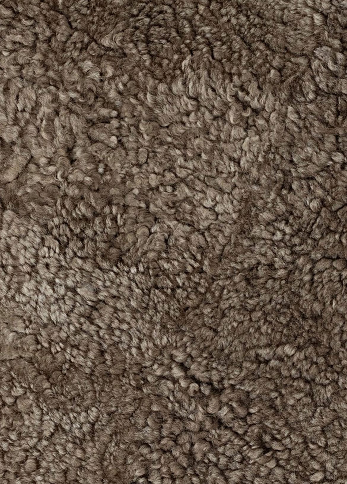 Short Wool Pisa Sample