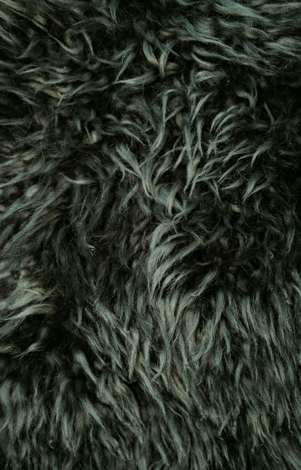 Extra Shaggy Wool Beech Forest Sample