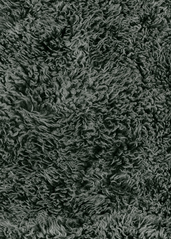 Extra Shaggy Wool Beech Forest Sample