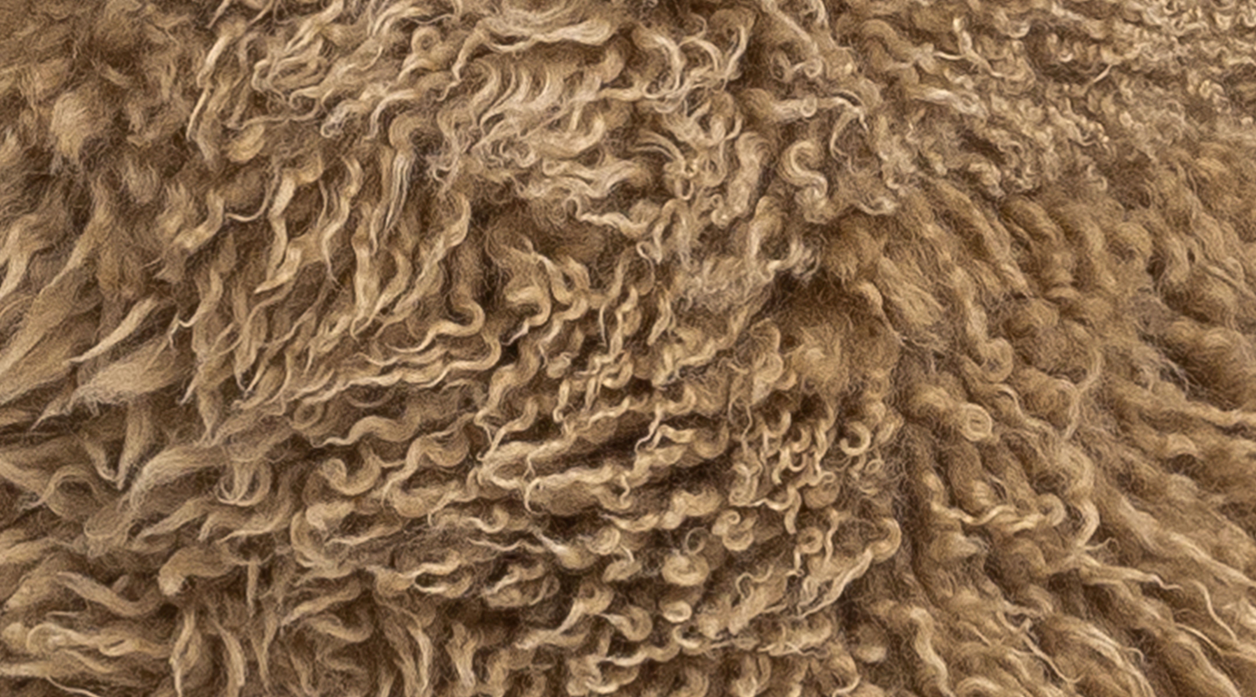 Extra Shaggy Wool Bendigo Sample