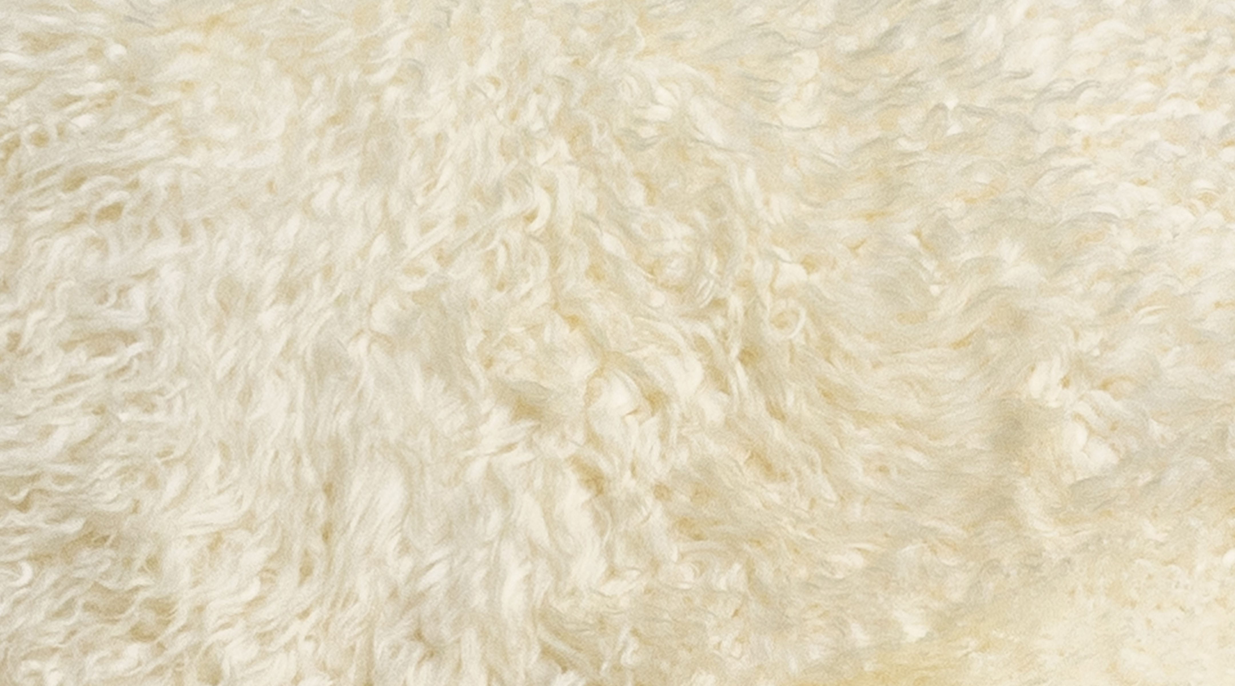 Shaggy Wool Cardrona Sample