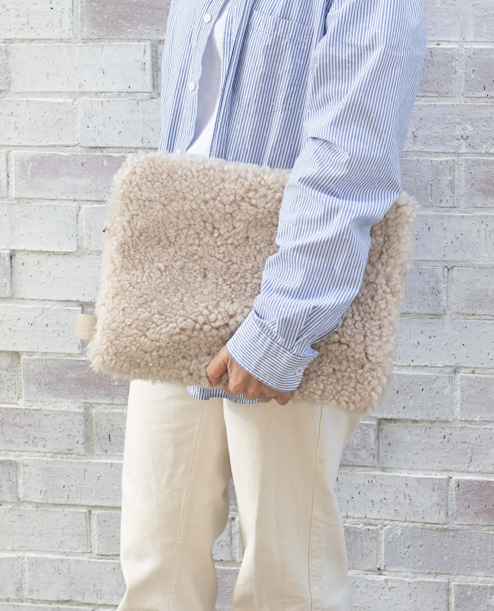 The Laptop Case