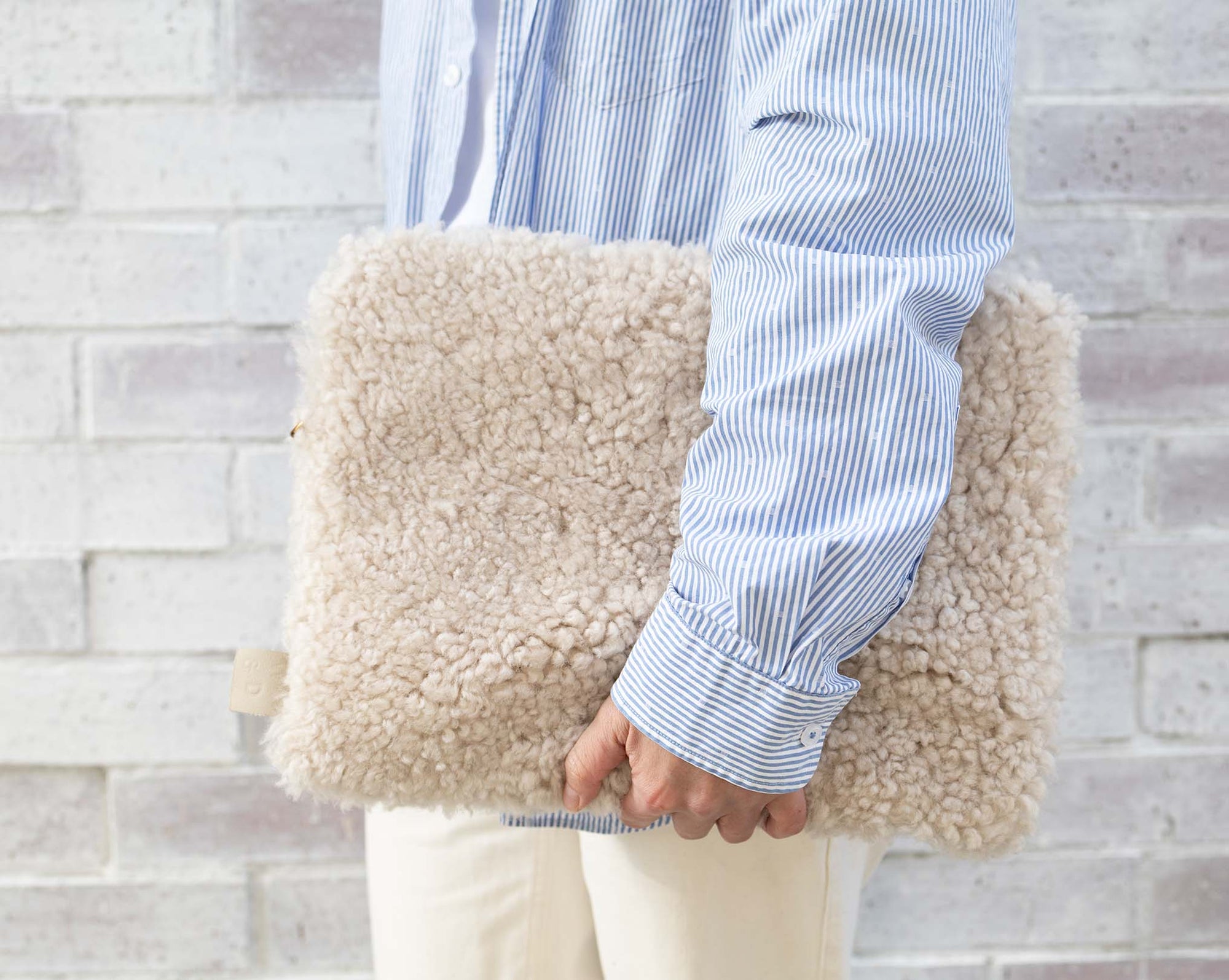 The Laptop Case