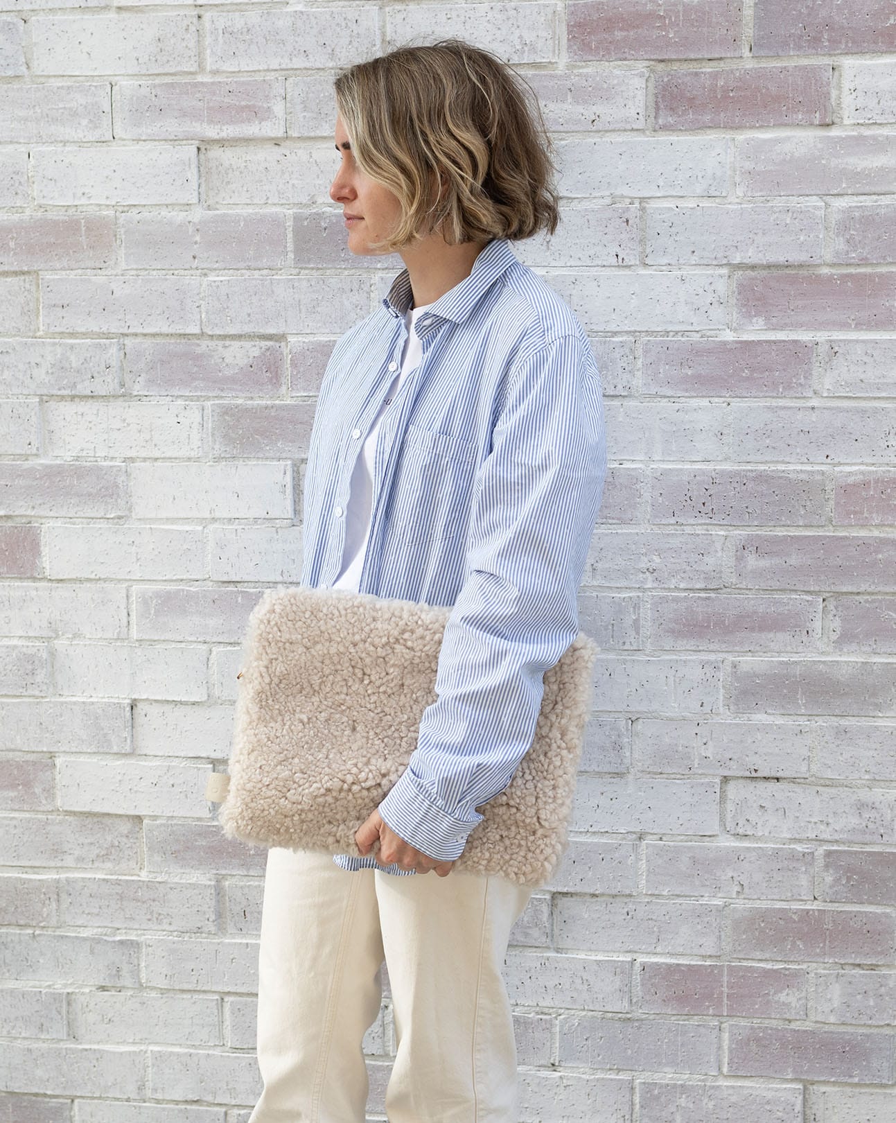The Laptop Case