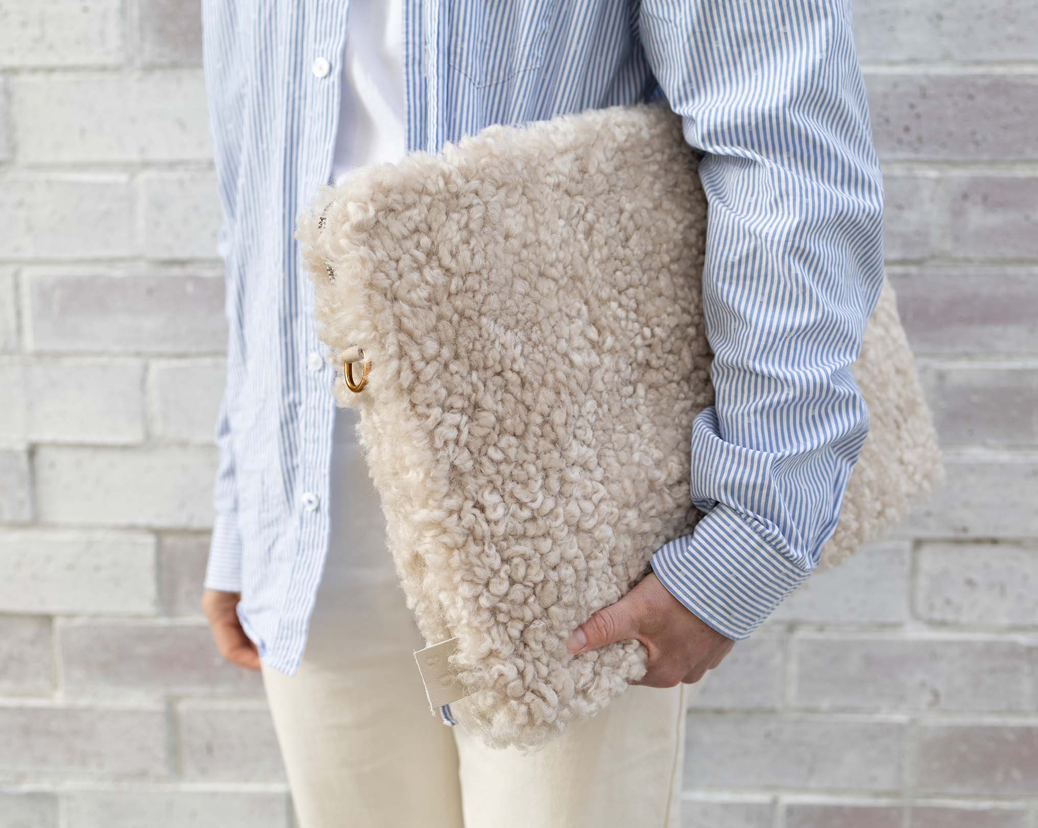The Laptop Case