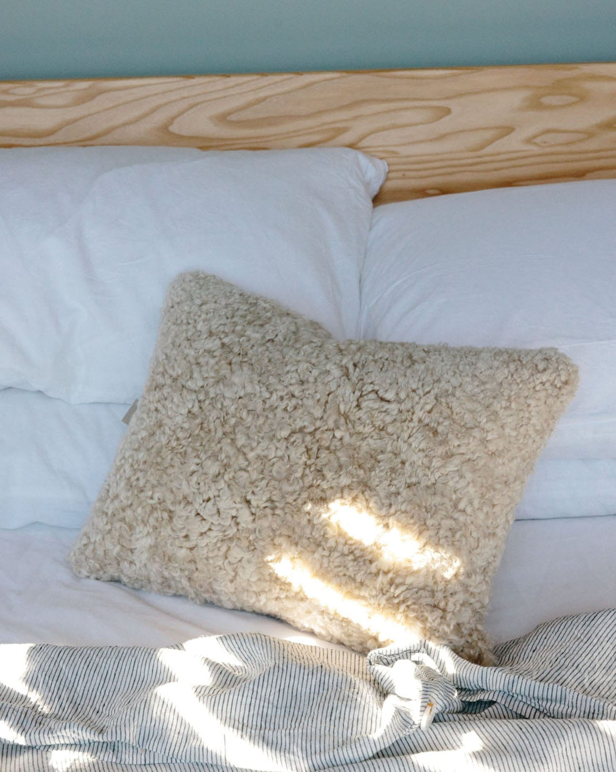 The Lumbar Cushion Cover