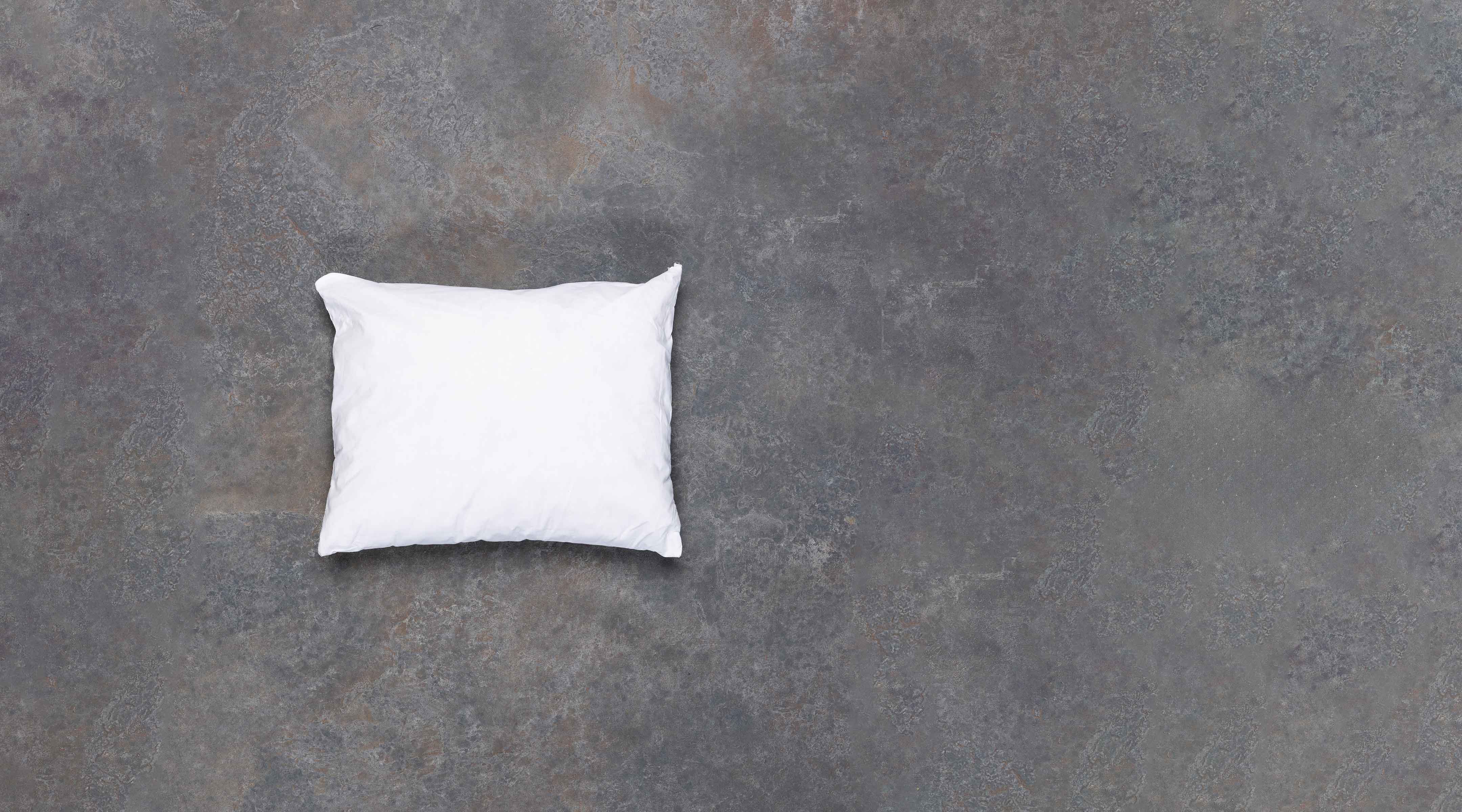 The Lumbar Cushion Inner