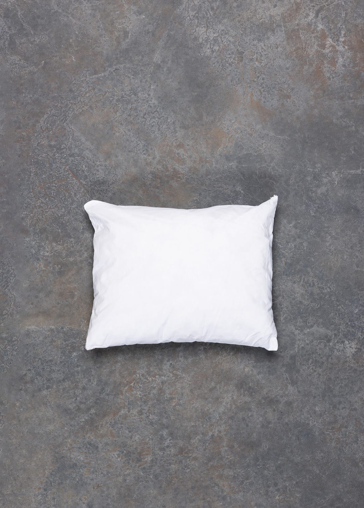 The Lumbar Cushion Inner