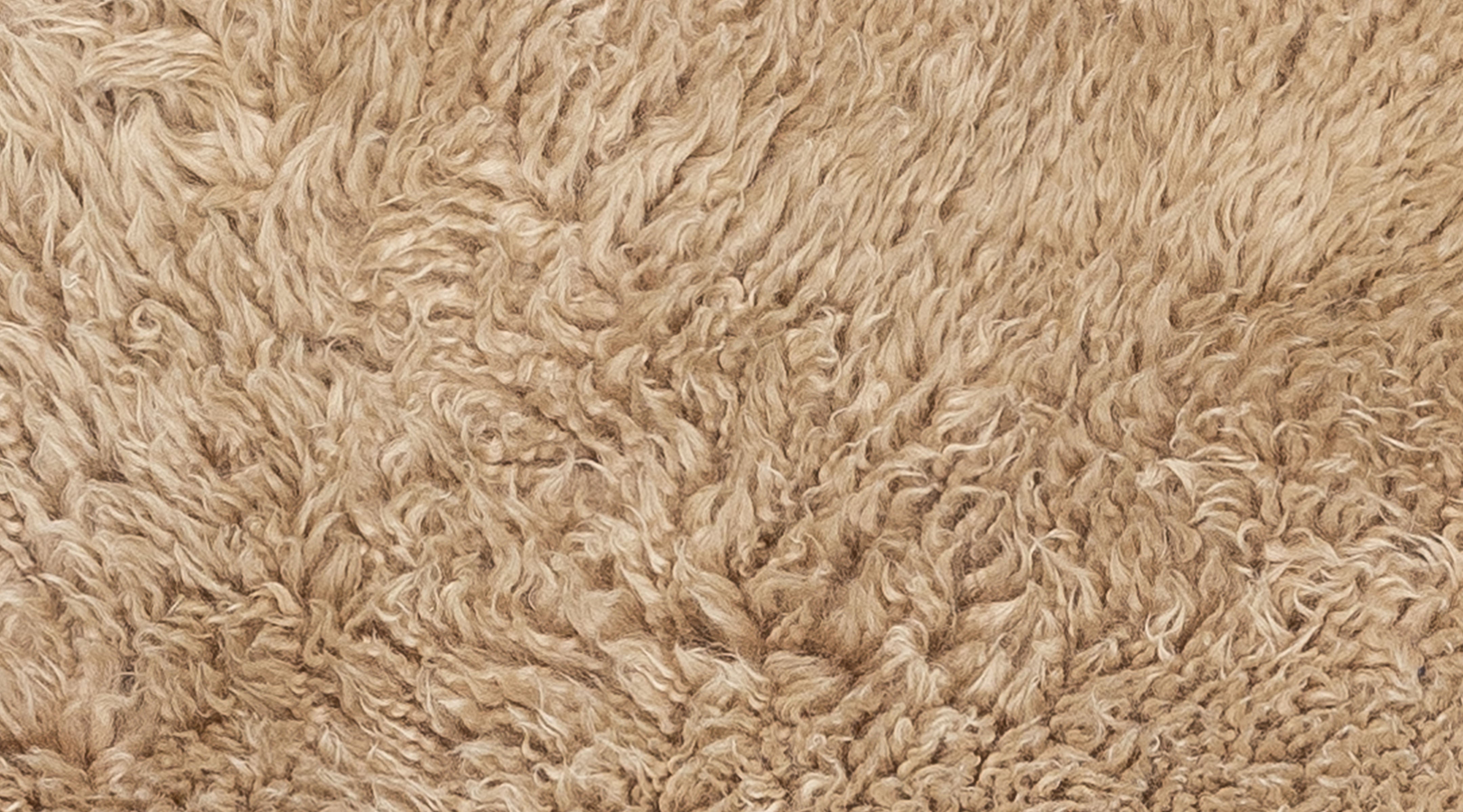 Shaggy Wool Mt Gold Sample