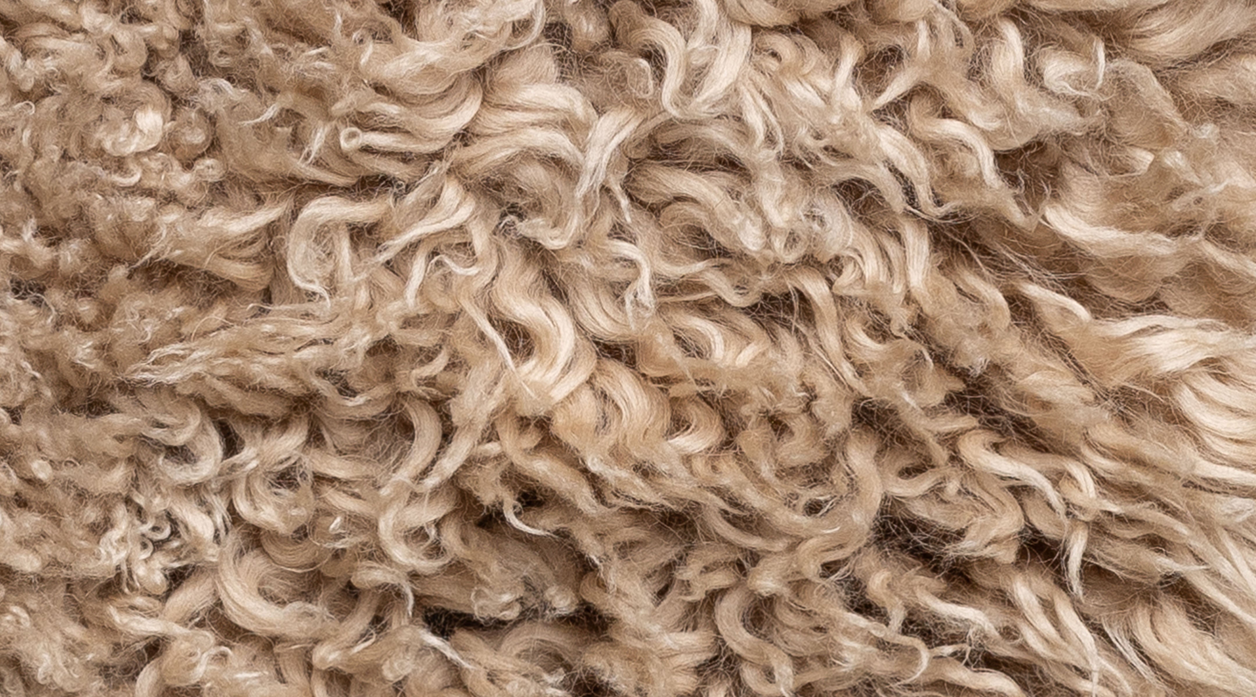 Extra Shaggy Wool Mt Gold Sample