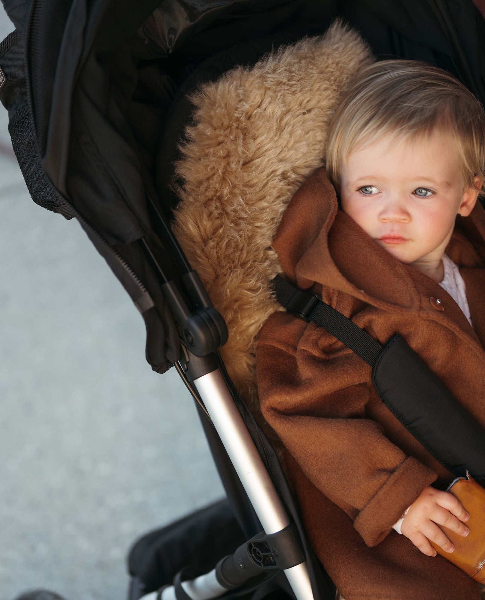 The Pram Liner