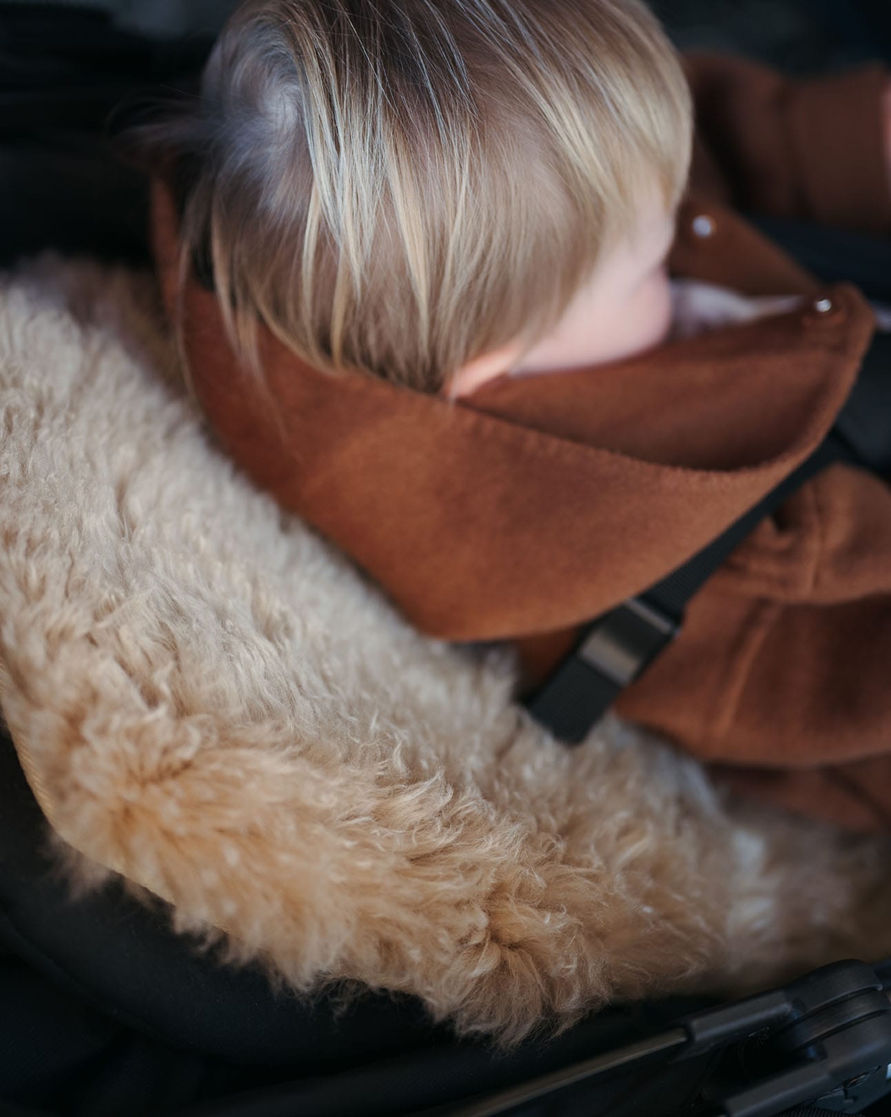 The Pram Liner