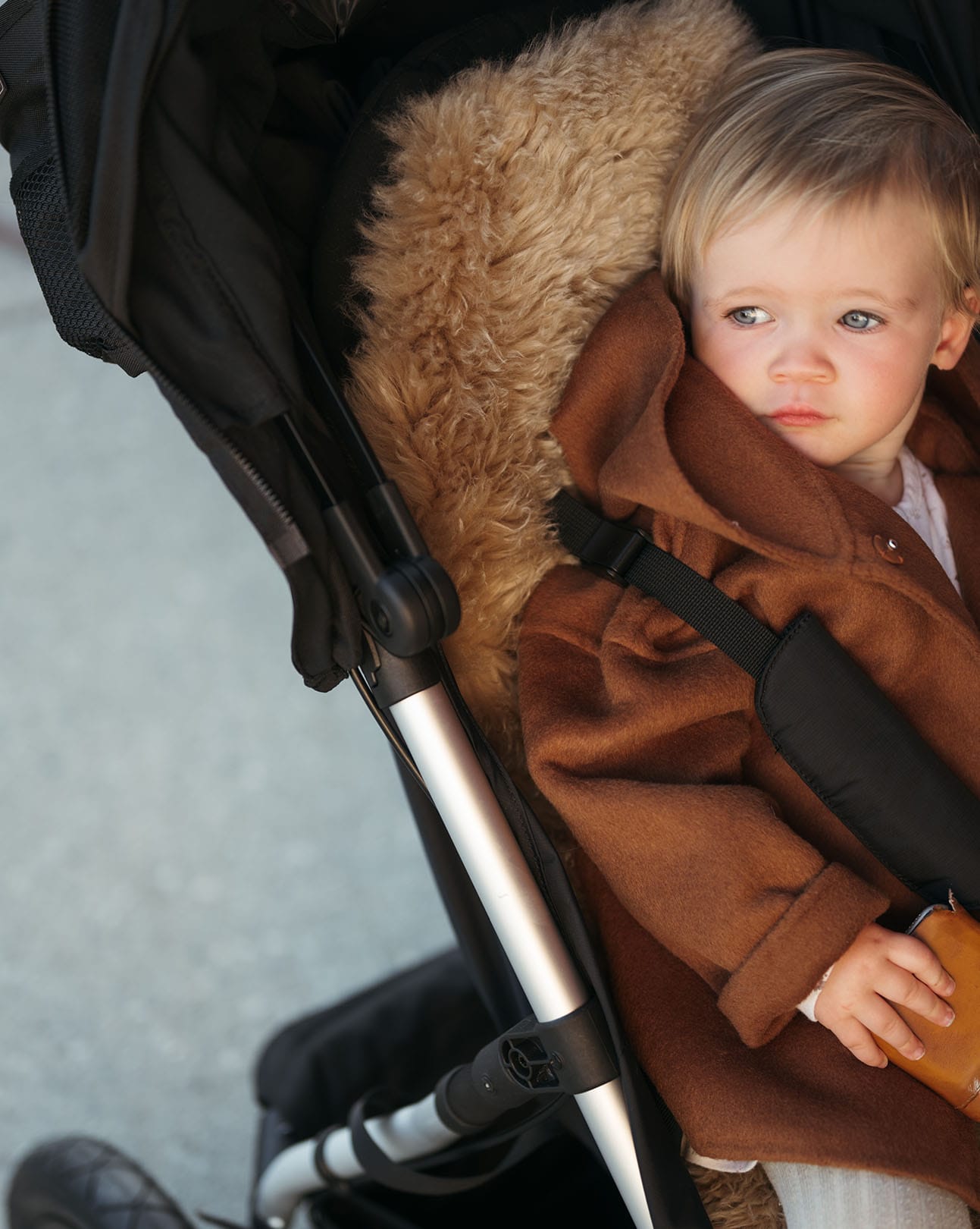 The Pram Liner