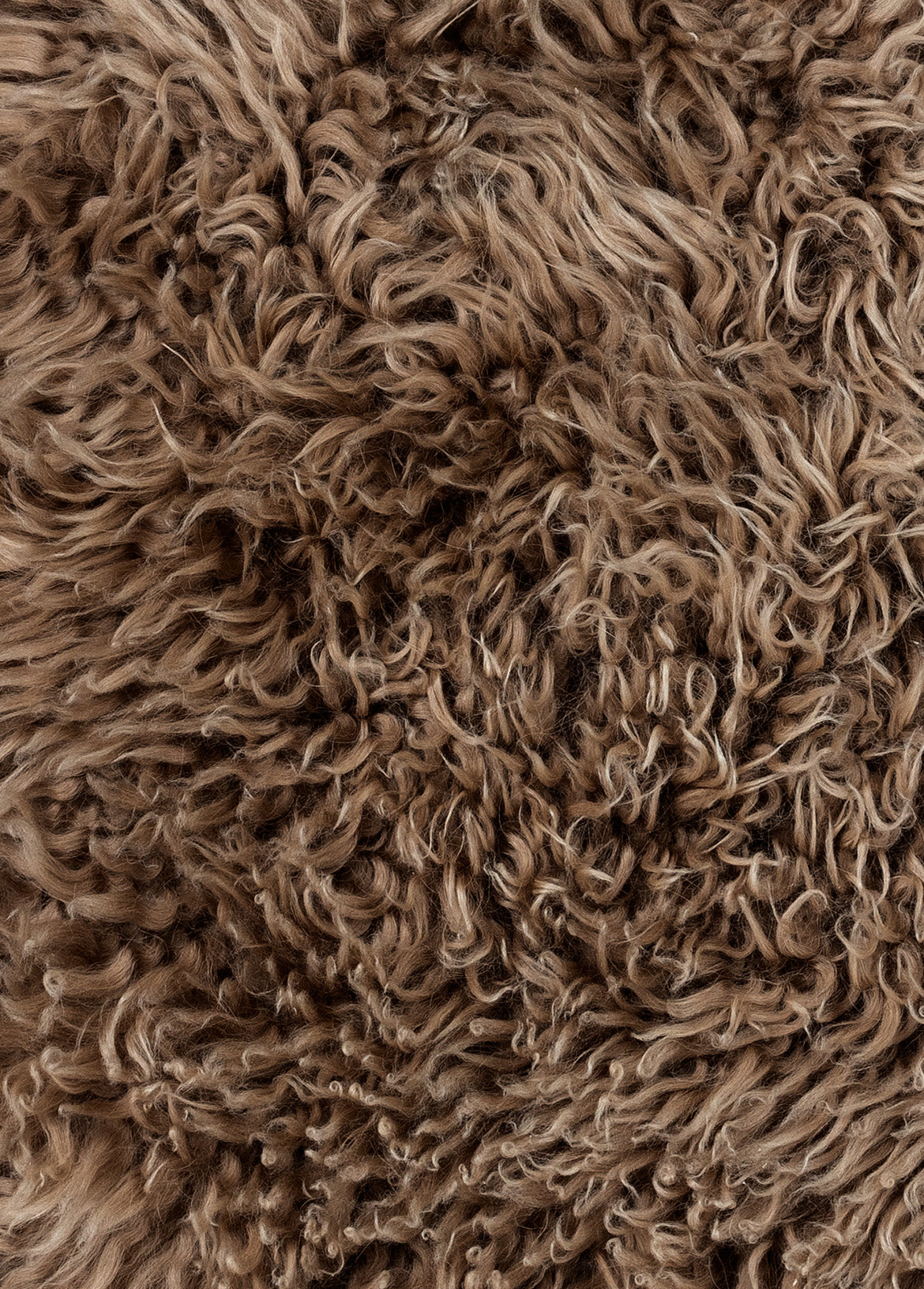 Extra Shaggy Wool Rocky Mountain Sample
