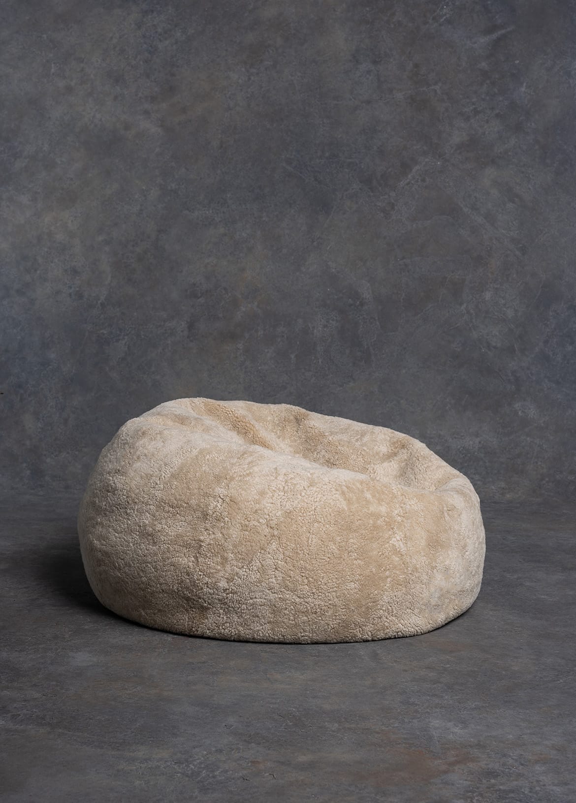 The Shaggy Bean Bag