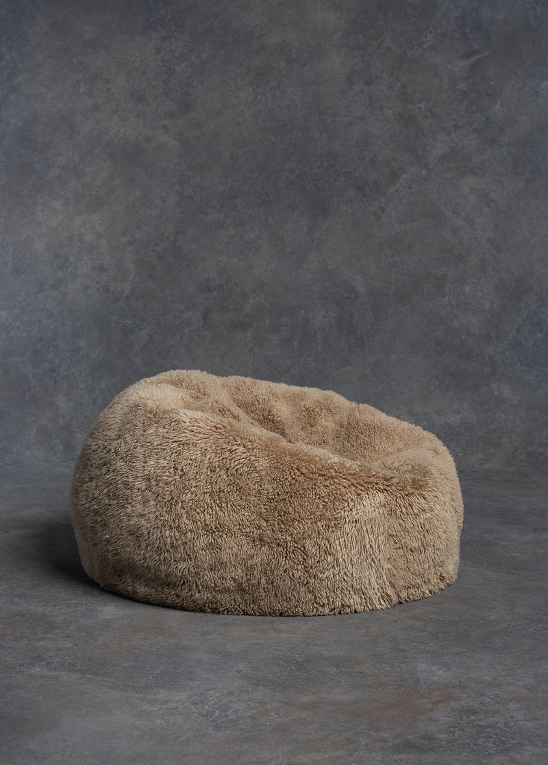 The Shaggy Bean Bag
