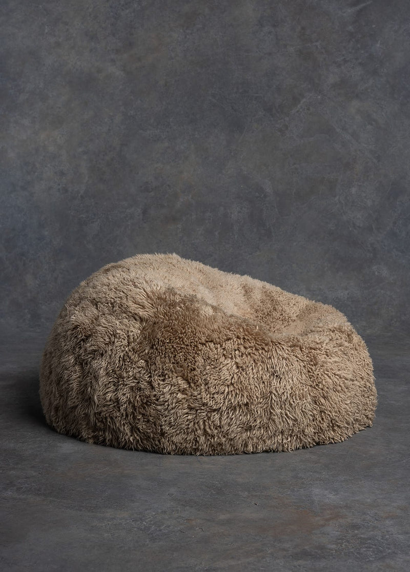 The Shaggy Bean Bag
