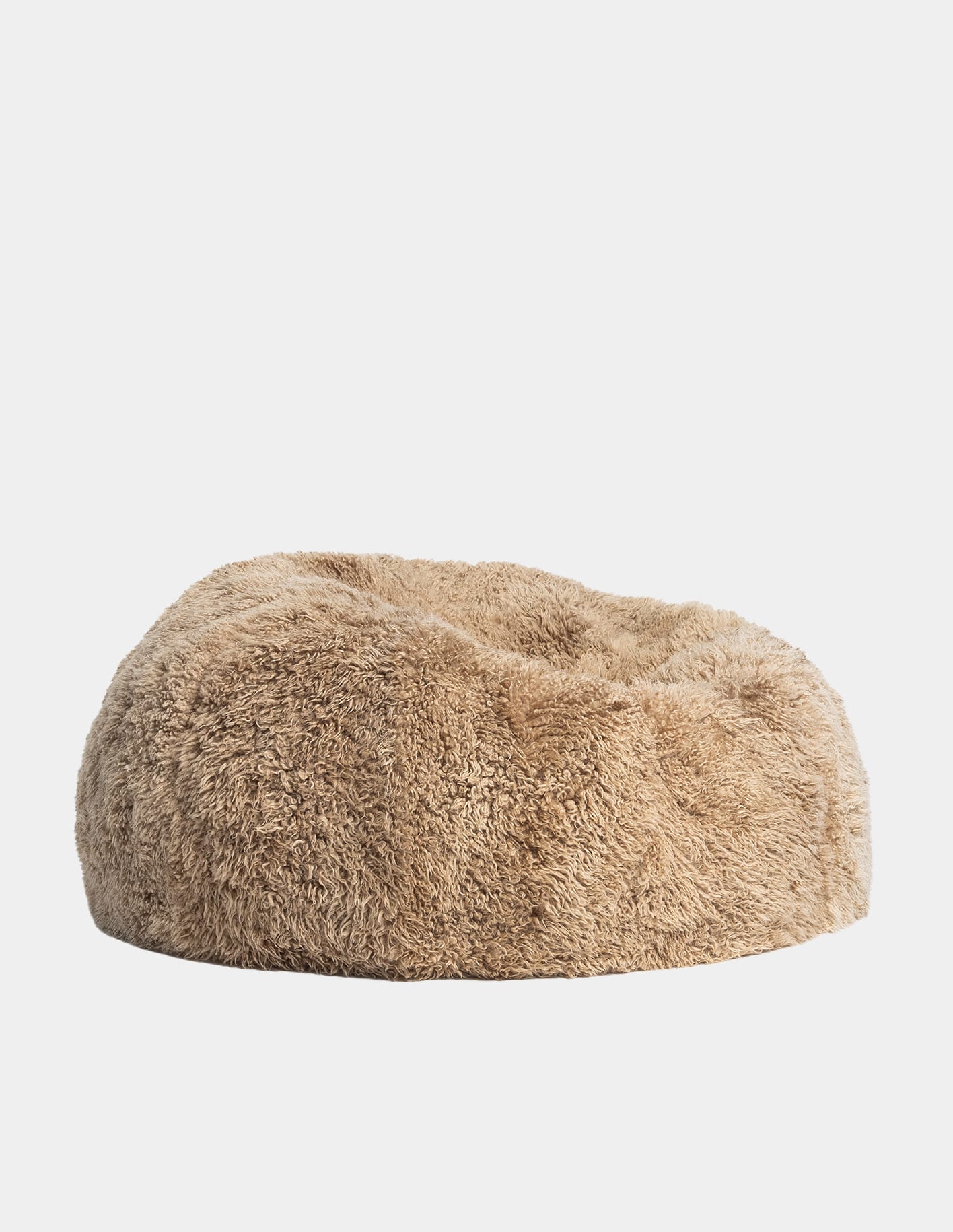 The Shaggy Bean Bag