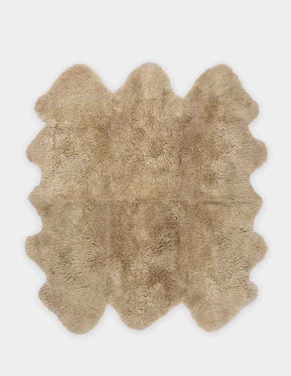 Shaggy Wool / Sexto / Mt Gold