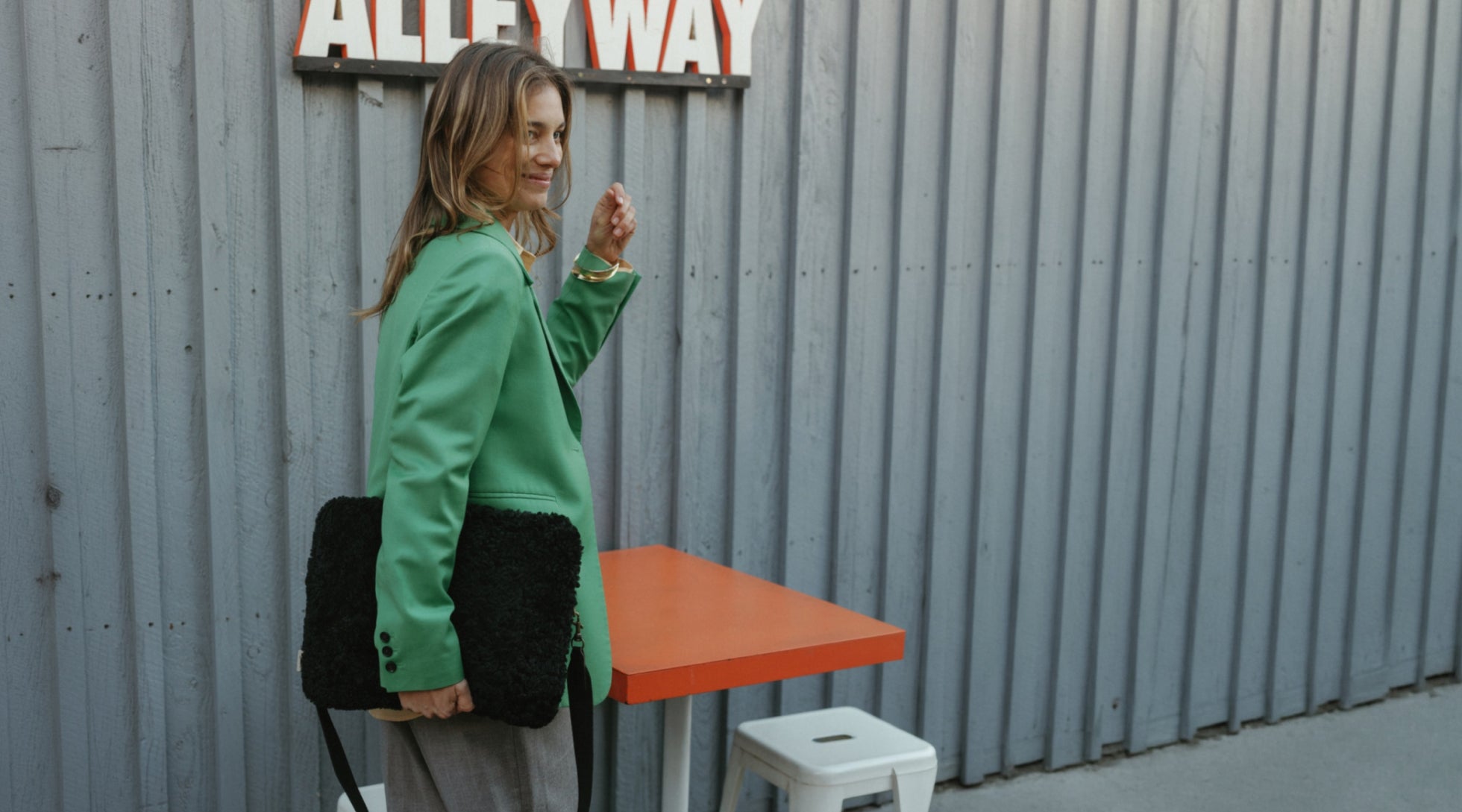 The Laptop Case