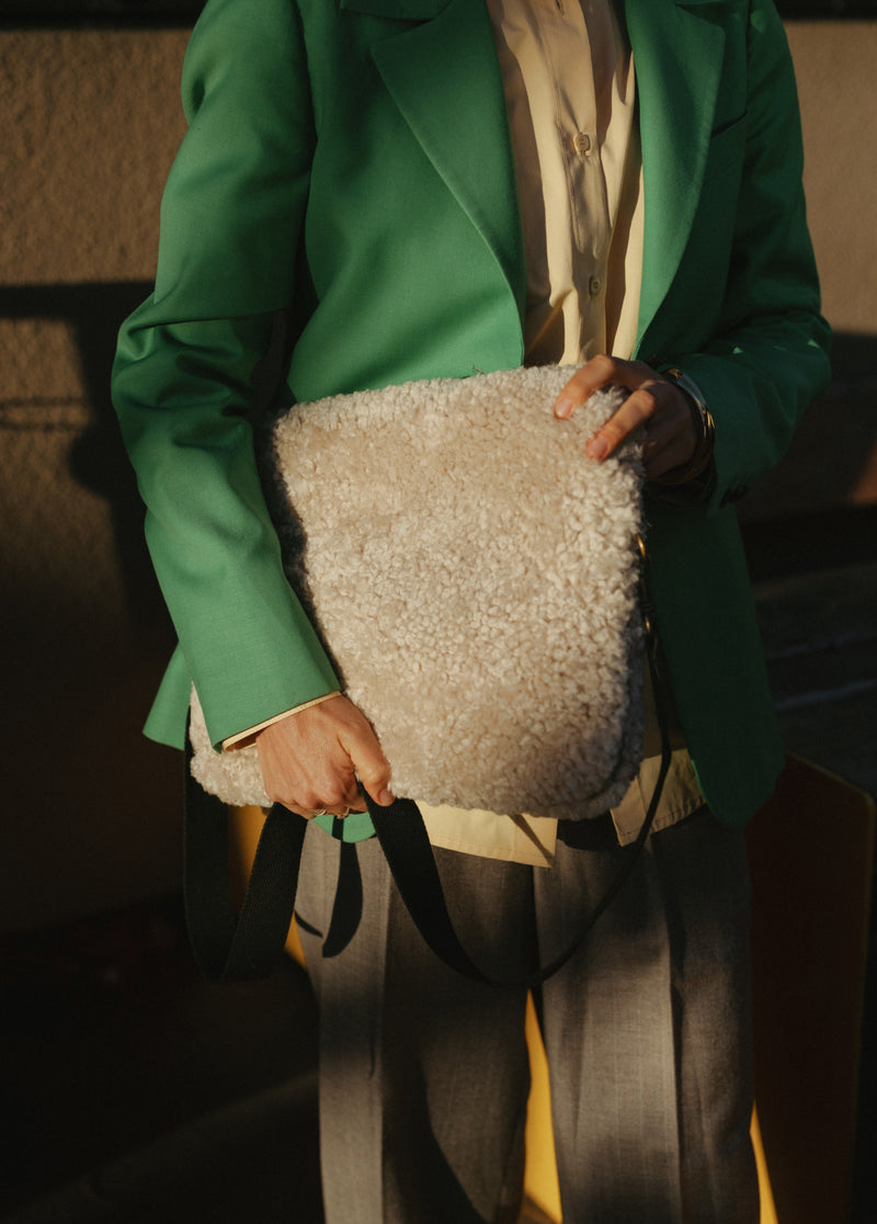 The Laptop Case
